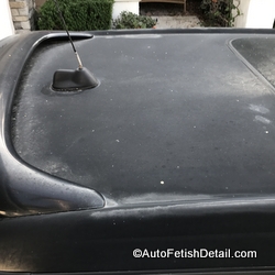 roof of a Mini Cooper showing clear coat failure